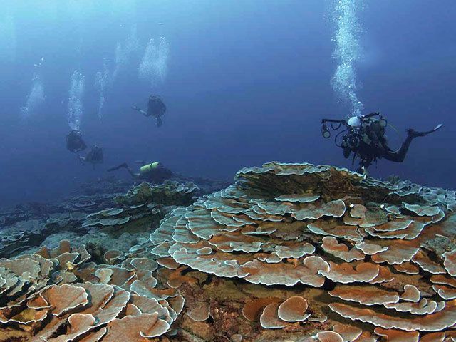 Tahiti Iti Diving